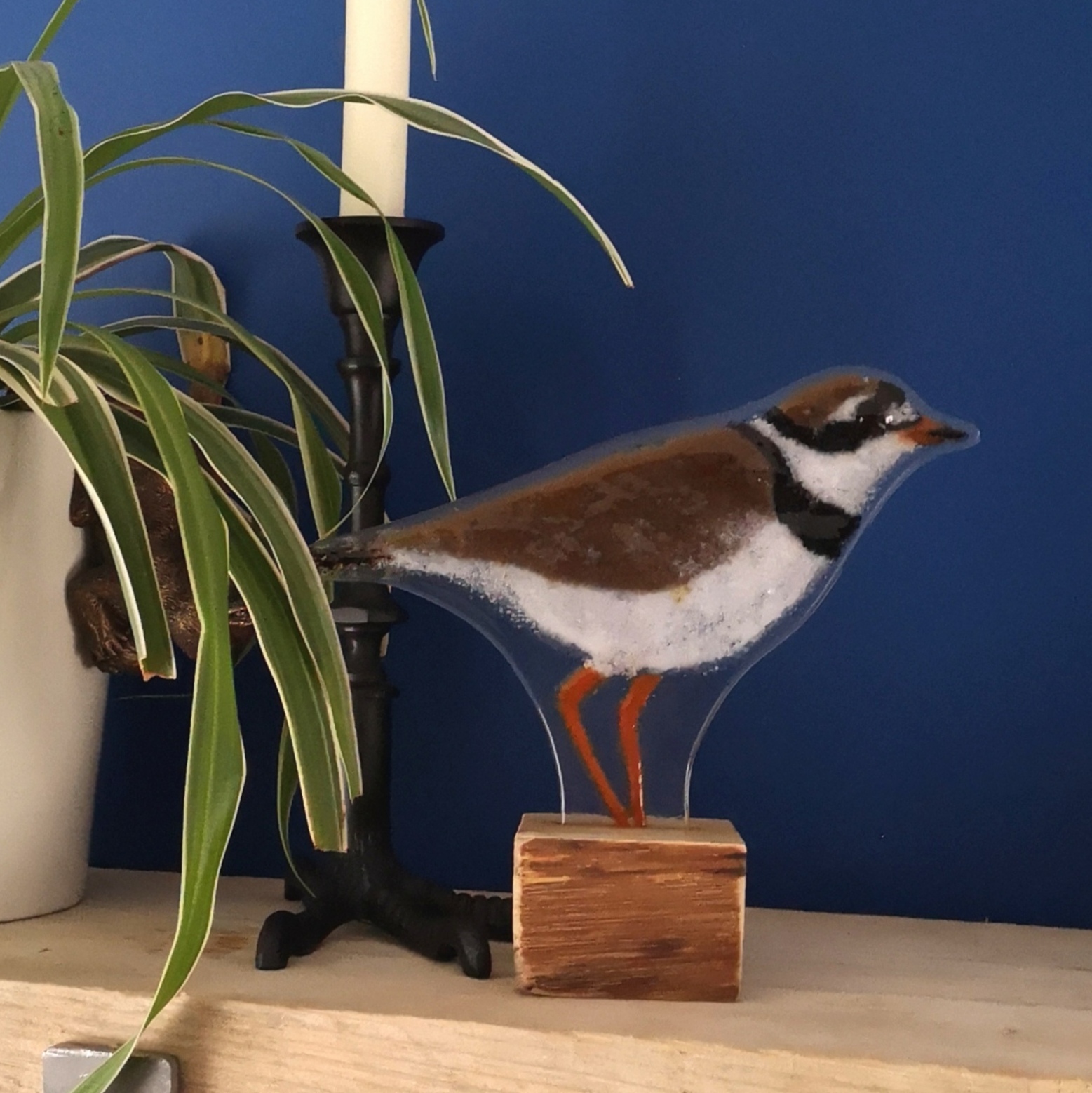 Common Ringed Plover Common Ringed Plover
